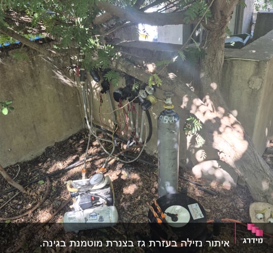 ציוד לגילוי נזילות מתחת לעץ בגינה